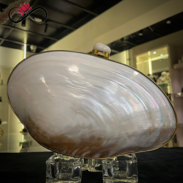 Angular Mother of Pearl Handcrafted Brass Clutch