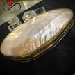 Angular Mother of Pearl Handcrafted Brass Clutch