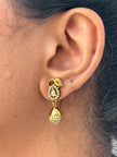 Close-up of a person wearing a gold earring 